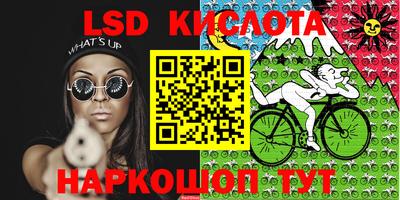 прущие грибы Будённовск