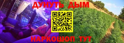 прущие грибы Будённовск