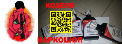 прущие грибы Будённовск