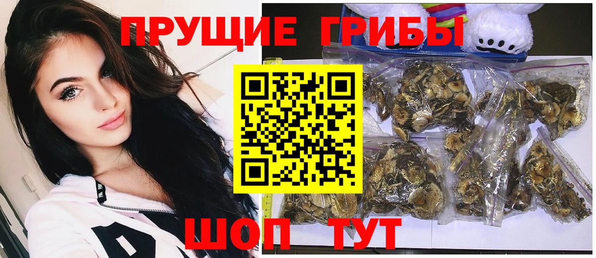 Верхний Уфалей  Псилоцибиновые грибы MAGIC MUSHROOMS  Вход с VPN 